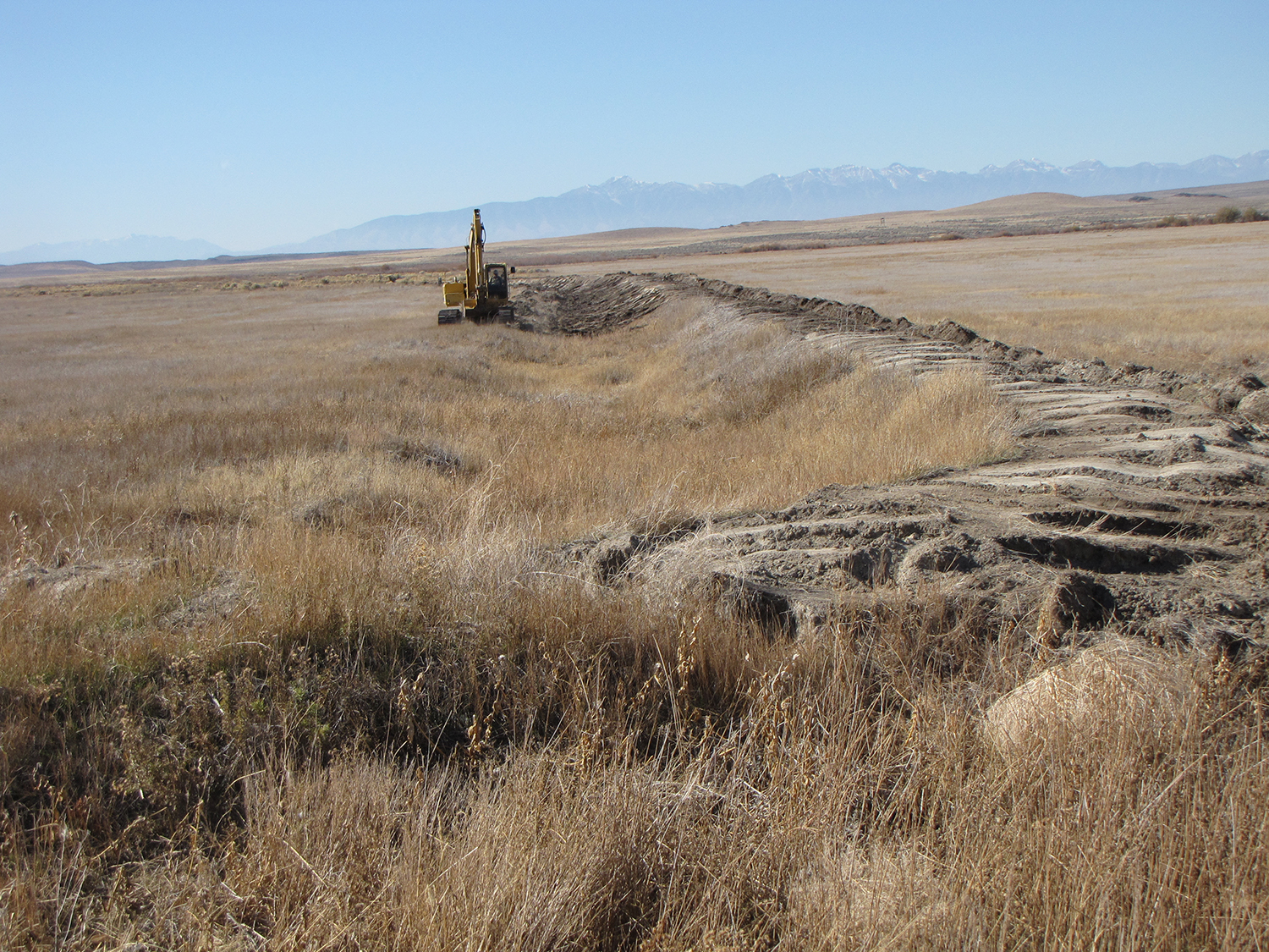 Brindly Pond Dike Removal Project